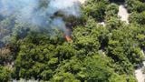 Incêndio atinge Área de Proteção Ambiental de Conceição da Barra (Divulgação | Iema )