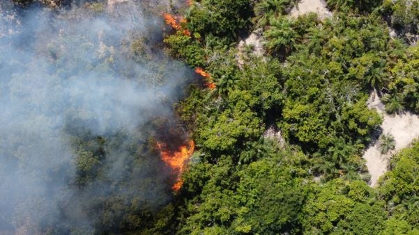 Incêndio atinge Área de Proteção Ambiental de Conceição da Barra 
