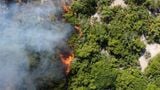 Incêndio atinge Área de Proteção Ambiental de Conceição da Barra (Divulgação | Iema )