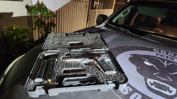 Polícia Civil realiza operação para combater comércio ilegal de armas de fogo por Divulgação / Polícia Civil