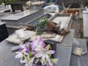 Em duas vezes na mesma semana, o cemitério de Pendanga, em Ibiraçu, foi alvo de depredação(Leitor A Gazeta)
