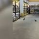 Imagem - Cliente flagra pombos bicando alimentos dentro de supermercado em Cariacica
