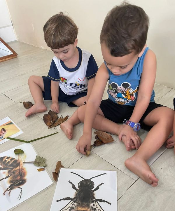 Na Escola Viver, as crianças são estimuladas por ambientes coloridos e por materiais interativos