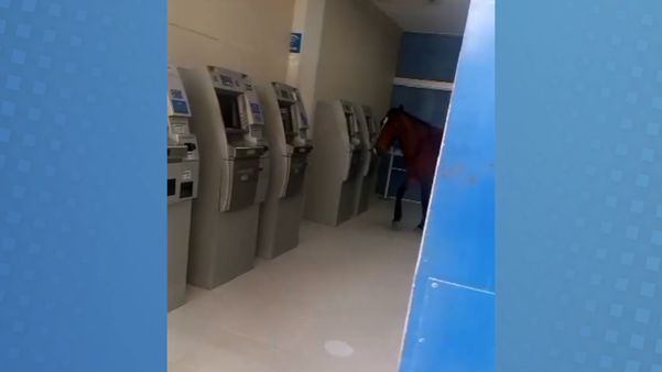 Cavalo é flagrado dentro de agência bancária no ES