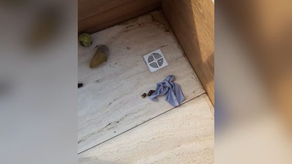 Varanda onde o cachorro estava, em Vitória