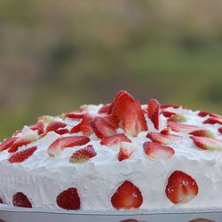 Festa do Morango 2023 terá mais de 30 mil fatias de torta
