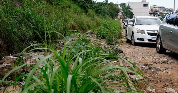 Os 11 municípios por onde passa trecho da Ferrovia Centro-Atlântica (FCA) no Espírito Santo têm projetos para uso da área da linha férrea, sendo alguns para mobilidade e outros para turismo