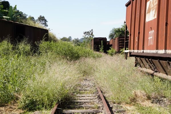 Ferrovia em Viana por Fernando Madeira