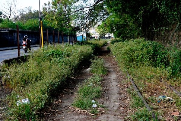 Ferrovia em Argolas, Vila Velha por Fernando Madeira