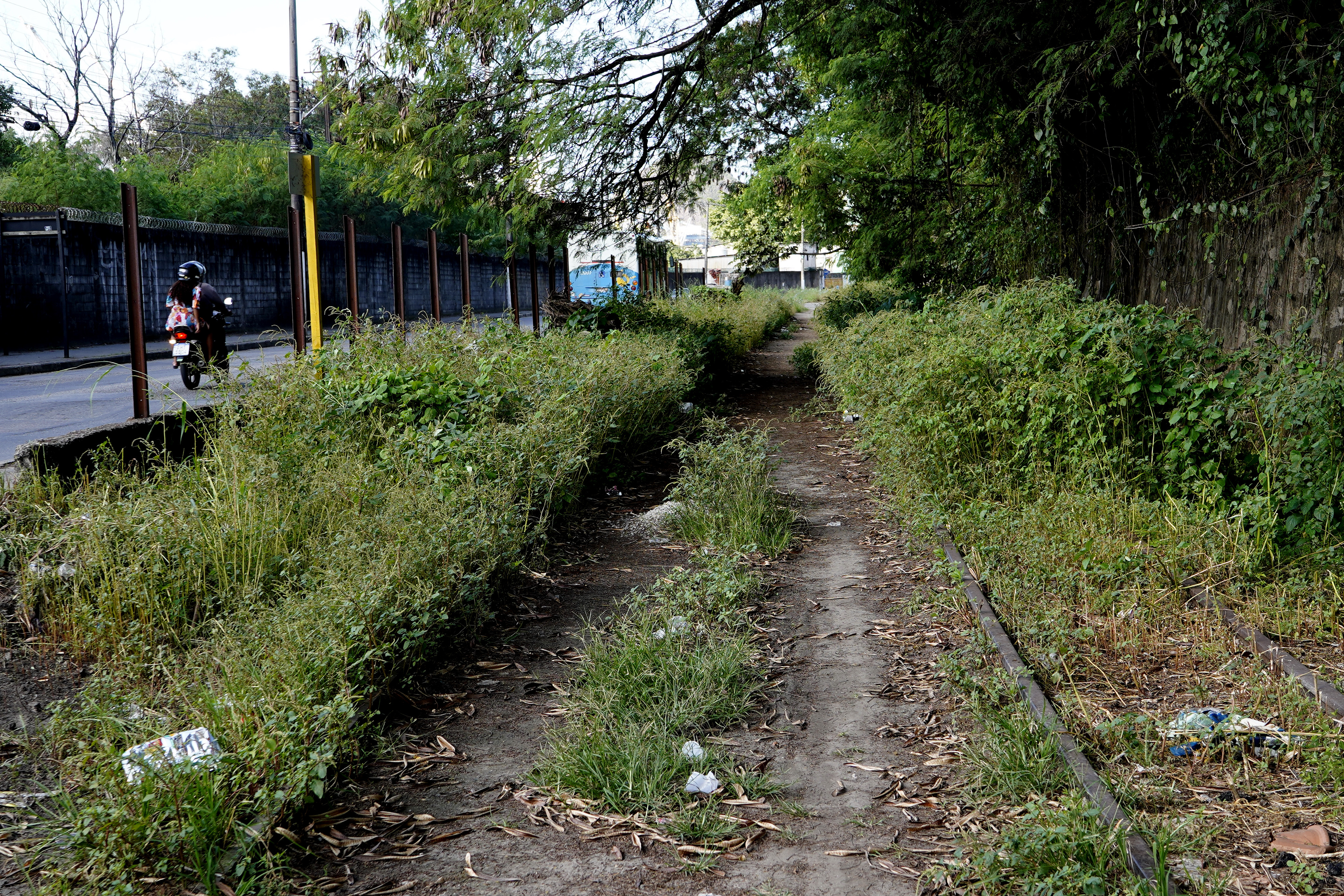 Matéria especial sobre ferrovias