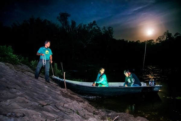 Projeto fomenta conservação do jacaré-do-papo-amarelo no ES por Leonardo Merçon