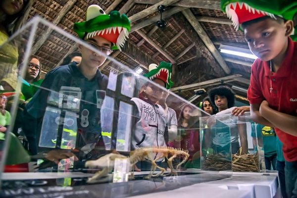 Projeto fomenta conservação do jacaré-do-papo-amarelo no ES