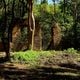 Ruínas da Fazenda Boa Vista, Parque da Fonte Grande, em Vitória