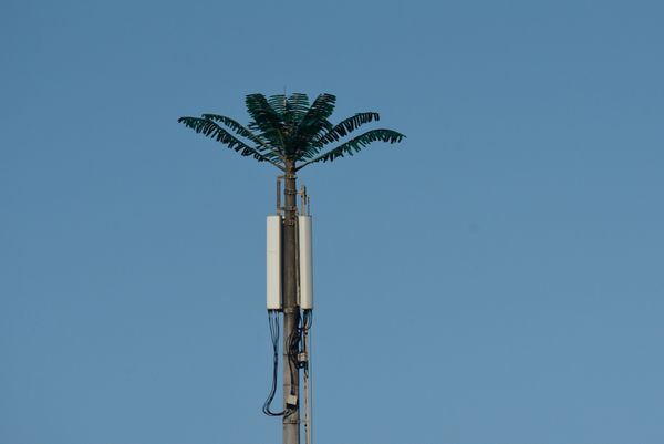 Antena camuflada como coqueiro instalada no Siribeira Clube em Guarapari por Vitor Jubini
