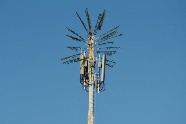 Antena camuflada como coqueiro instalada no Siribeira Clube em Guarapari por Vitor Jubini
