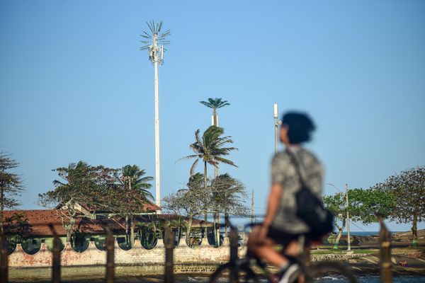 Antena camuflada como coqueiro instalada no Siribeira Clube em Guarapari por Vitor Jubini