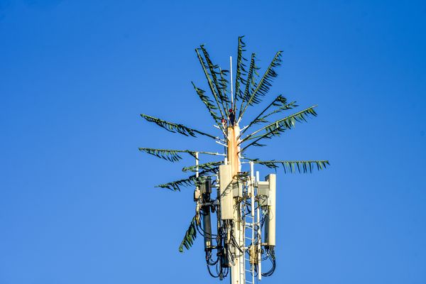 Antena camuflada como coqueiro instalada no Siribeira Clube em Guarapari por Vitor Jubini