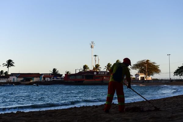 Antena camuflada como coqueiro instalada no Siribeira Clube em Guarapari por Vitor Jubini