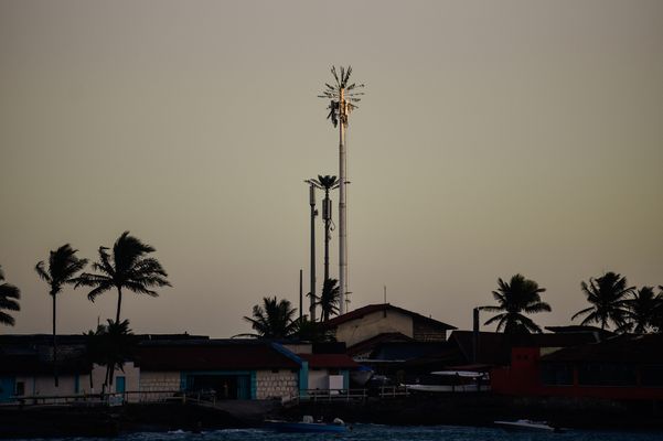 Antena camuflada como coqueiro instalada no Siribeira Clube em Guarapari por Vitor Jubini