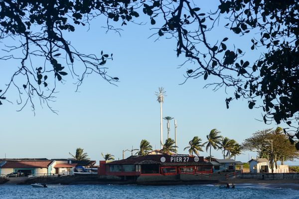 Antena camuflada como coqueiro instalada no Siribeira Clube em Guarapari por Vitor Jubini
