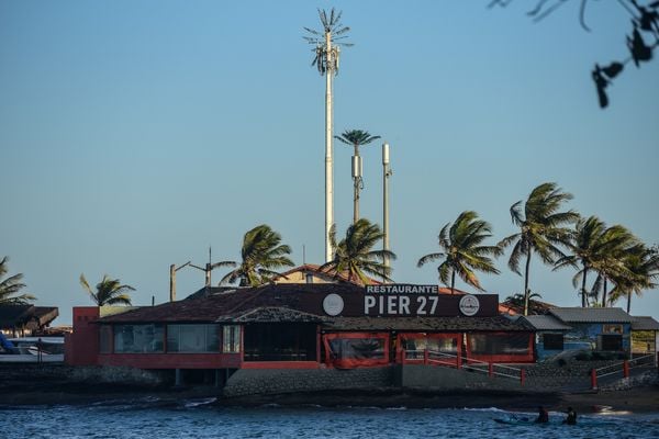 Antena camuflada como coqueiro instalada no Siribeira Clube em Guarapari por Vitor Jubini