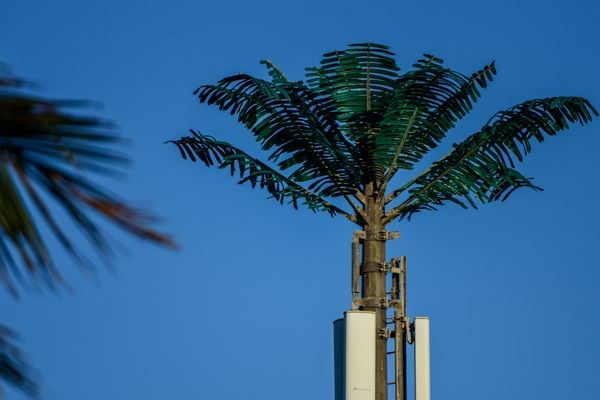 Antena camuflada como coqueiro instalada no Siribeira Clube em Guarapari por Vitor Jubini