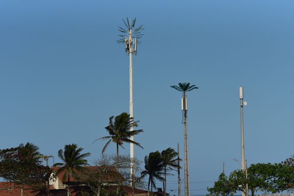 Antena camuflada como coqueiro instalada no Siribeira Clube em Guarapari por Vitor Jubini