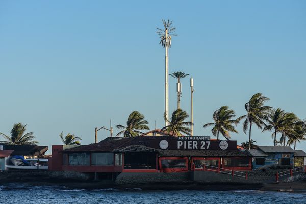 Antena camuflada como coqueiro instalada no Siribeira Clube em Guarapari por Vitor Jubini