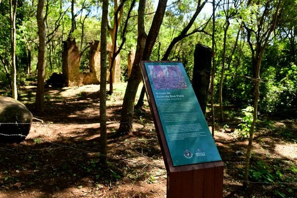 Ruínas da Fazenda Boa Vista por Fernando Madeira