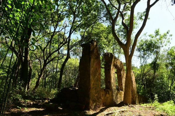 Ruínas da Fazenda Boa Vista por Fernando Madeira