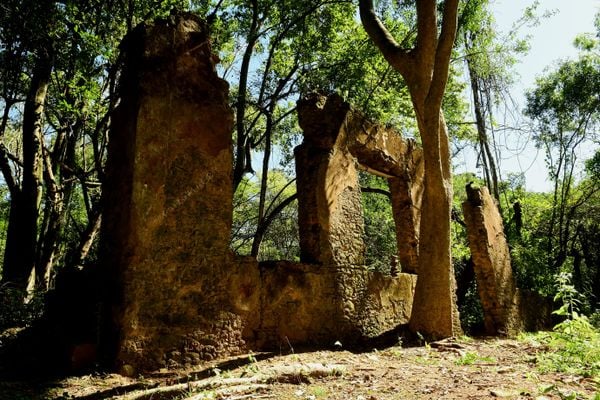 Ruínas da Fazenda Boa Vista por Fernando Madeira