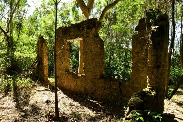 Ruínas da Fazenda Boa Vista por Fernando Madeira