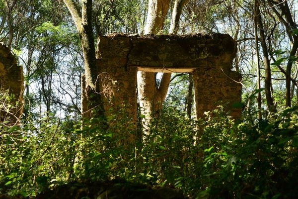 Ruínas da Fazenda Boa Vista por Fernando Madeira