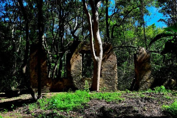 Ruínas da Fazenda Boa Vista por Fernando Madeira