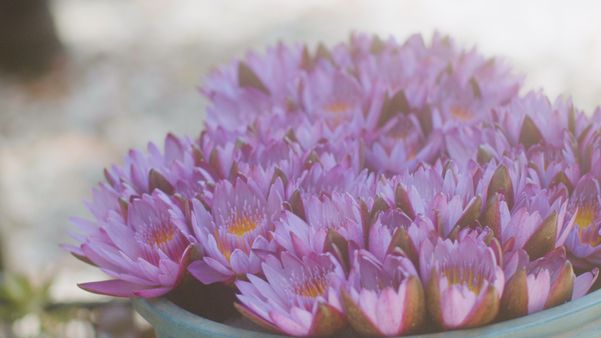 Documentário "Montanhas Contemporâneas Capixabas” de Ronaldo Barbosa