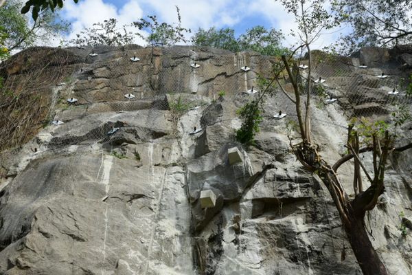 Parque Pedra da Cebola, em Vitória, deixou de ter canteiro de obras por Ricardo Medeiros