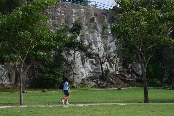 Parque Pedra da Cebola, em Vitória, deixou de ter canteiro de obras por Ricardo Medeiros