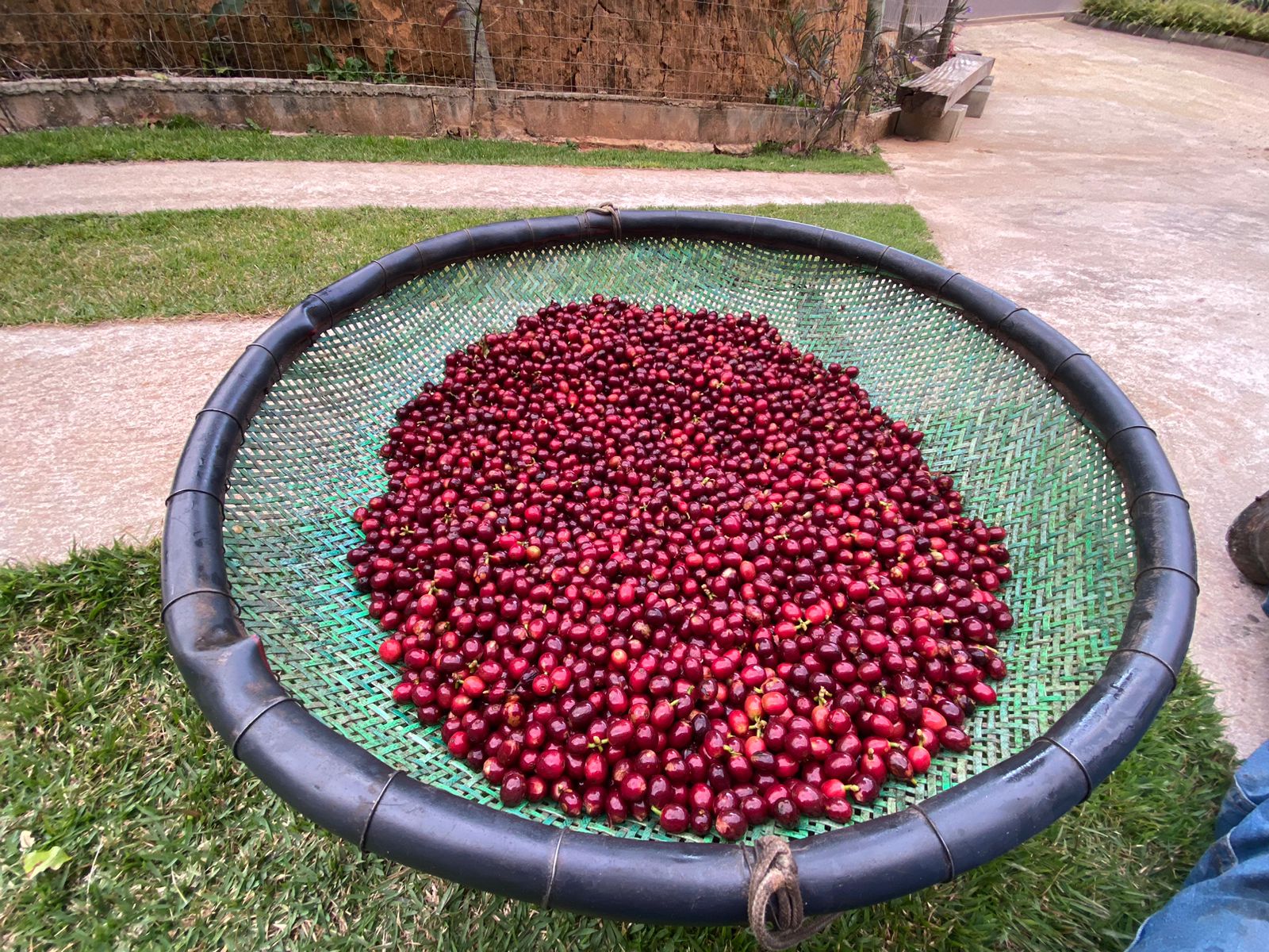 A Gazeta  Café capixaba é vendido para gigante do setor agrícola