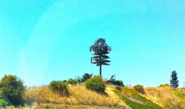 Exemplos de antenas de celular disfarçadas pelo mundo por Reprodução mdig.com.br 