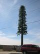 Exemplos de antenas de celular disfarçadas pelo mundo(Reprodução mdig.com.br )