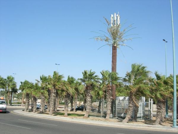 ExempExemplos de antenas de celular disfarçadas pelo mundolos de antenas de celular disfarçadas pelo mundo por Reprodução mdig.com.br