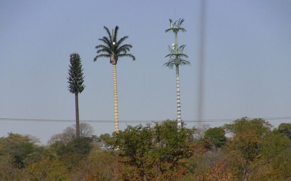 Exemplos de antenas de celular disfarçadas pelo mundo por Reprodução mdig.com.br