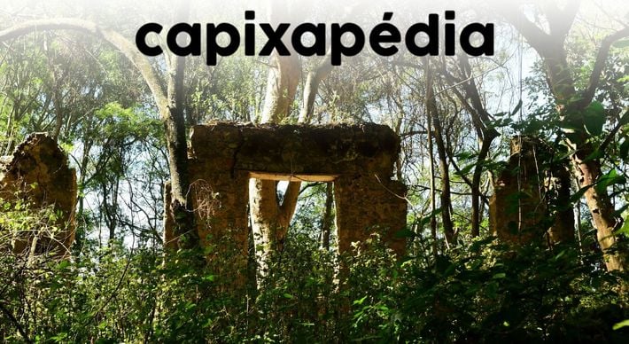 Parque Estadual da Fonte Grande está localizado no coração de Vitória e é protegido por lei; a área guarda histórias de famílias e até cultivo de horta
