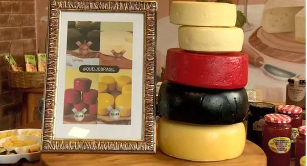 Os queijos produzidos por Pedro Henrique Borlini receberam medalhas: duas de prata e duas de bronze
