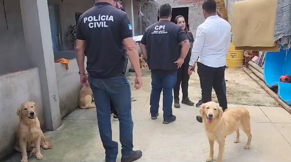 Animais eram mantidos em canil clandestino em Viana