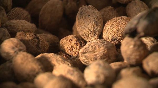 Depois de coletar as frutas há o processo de secagem das sementes