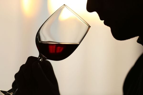Homem degustando taça de vinho tinto