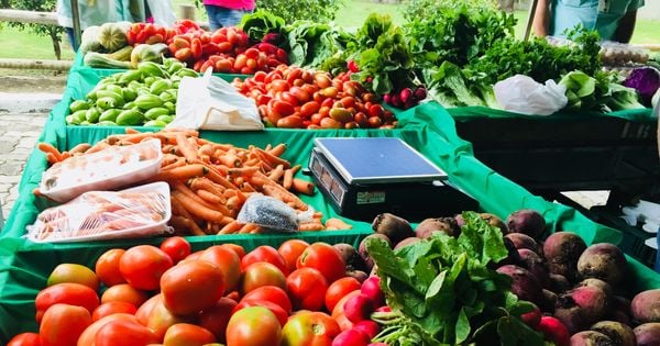 Incaper realizou pesquisa comparando preço de legumes, verduras e frutas vendidas em supermercados e em feiras orgânicas de Vitória