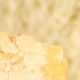 Imagem - Dia Mundial do Pão: veja 3 receitas de pães saborosos e fofinhos