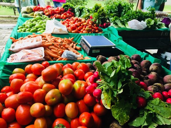 Feira de alimentos orgânicos é alternativa para consumo de produtos mais saudáveis